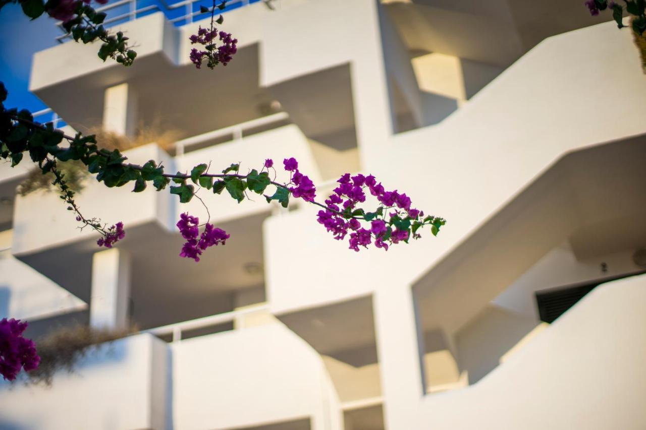Camelina Suites San Antonio  Ngoại thất bức ảnh