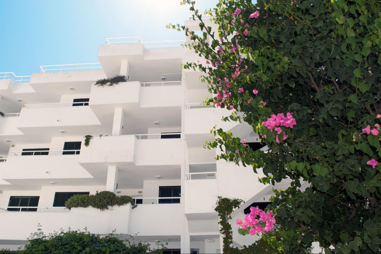 Camelina Suites San Antonio  Ngoại thất bức ảnh